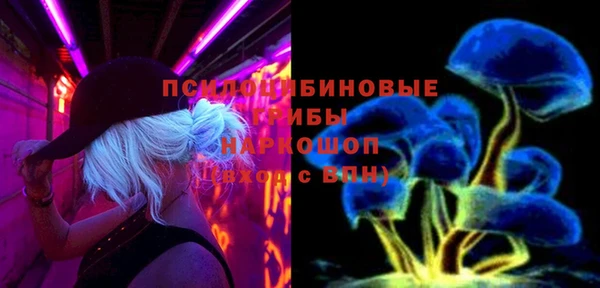 крисы Абдулино