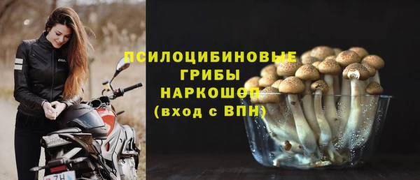 стаф Абинск