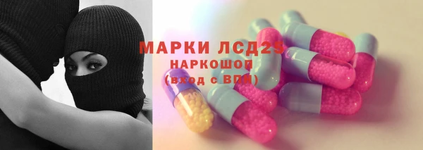 стаф Абинск