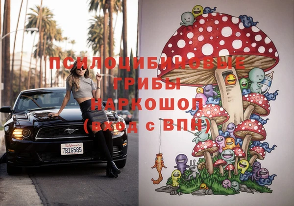 крисы Абдулино