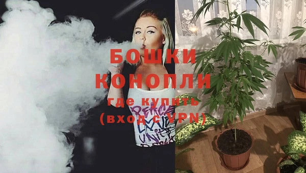 крисы Абдулино