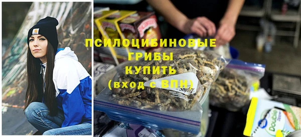 стаф Абинск