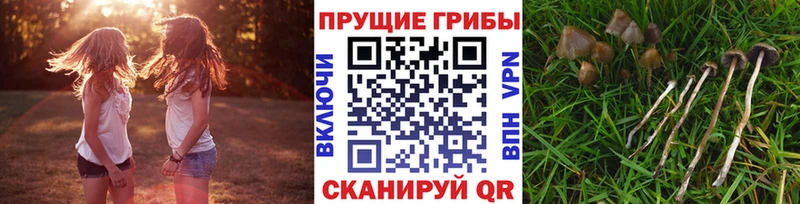 Галлюциногенные грибы мухоморы  цены наркотик  Искитим 