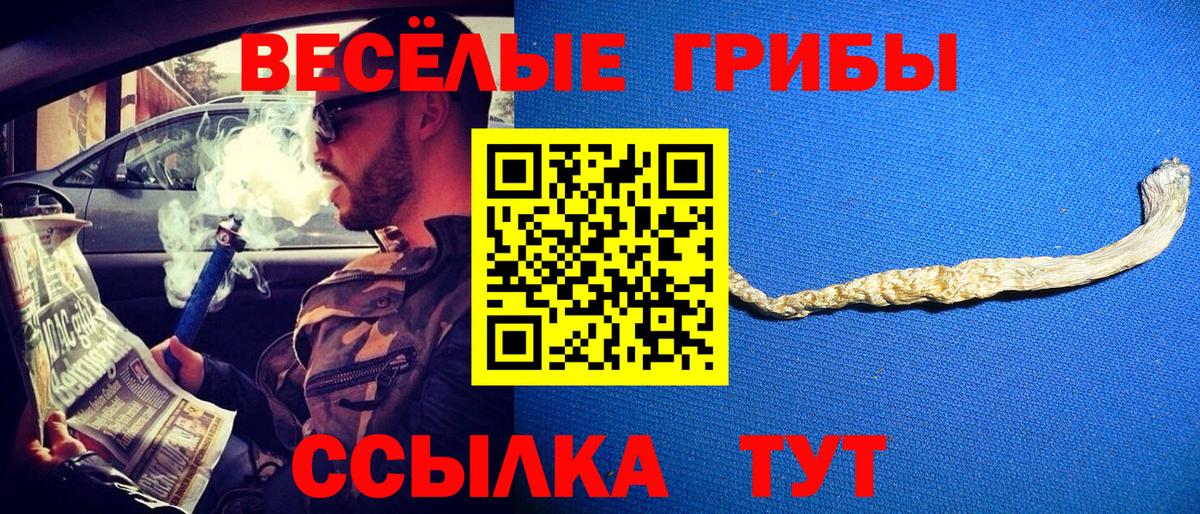 Псилоцибиновые грибы MAGIC MUSHROOMS Искитим